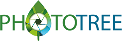 Logo Phototree