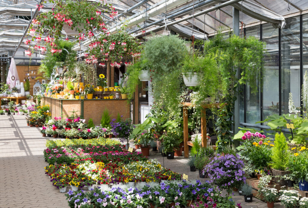 Bild der Pflanzenabteilung eines Gartencenters.